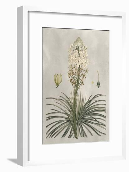 Tropical Varieties III-Pancrace Bessa-Framed Art Print