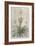 Tropical Varieties III-Pancrace Bessa-Framed Art Print