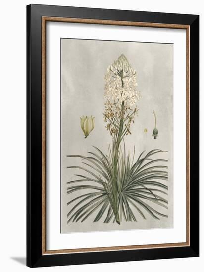 Tropical Varieties III-Pancrace Bessa-Framed Art Print