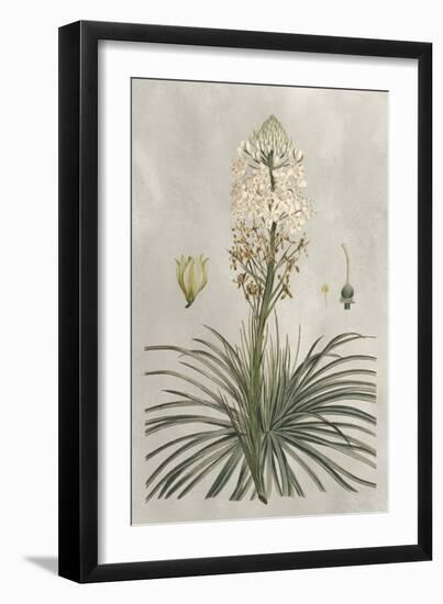 Tropical Varieties III-Pancrace Bessa-Framed Art Print