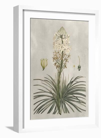Tropical Varieties III-Pancrace Bessa-Framed Art Print