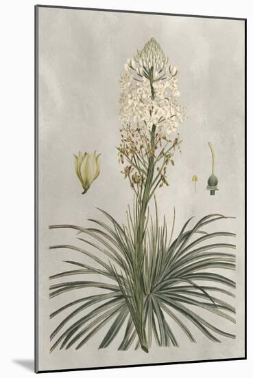 Tropical Varieties III-Pancrace Bessa-Mounted Art Print