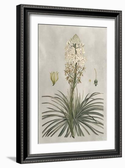 Tropical Varieties III-Pancrace Bessa-Framed Art Print