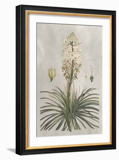 Tropical Varieties III-Pancrace Bessa-Framed Art Print