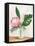 Tropical Vase I-Aria K-Framed Stretched Canvas