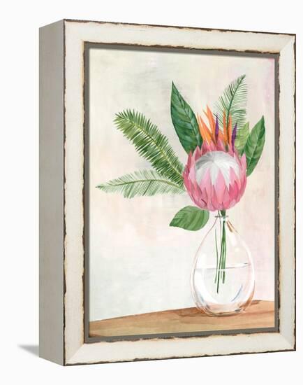 Tropical Vase II-Aria K-Framed Stretched Canvas