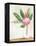 Tropical Vase II-Aria K-Framed Stretched Canvas