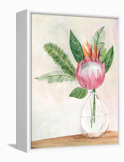 Tropical Vase II-Aria K-Framed Stretched Canvas