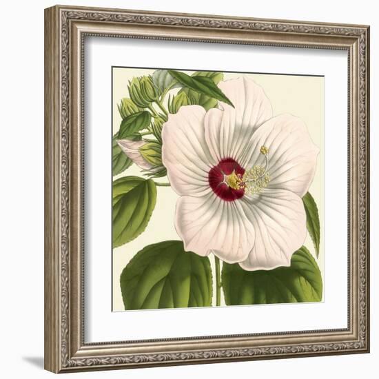 Tropical Vision I-Vision Studio-Framed Art Print