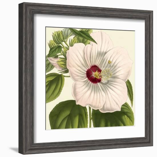 Tropical Vision I-Vision Studio-Framed Art Print