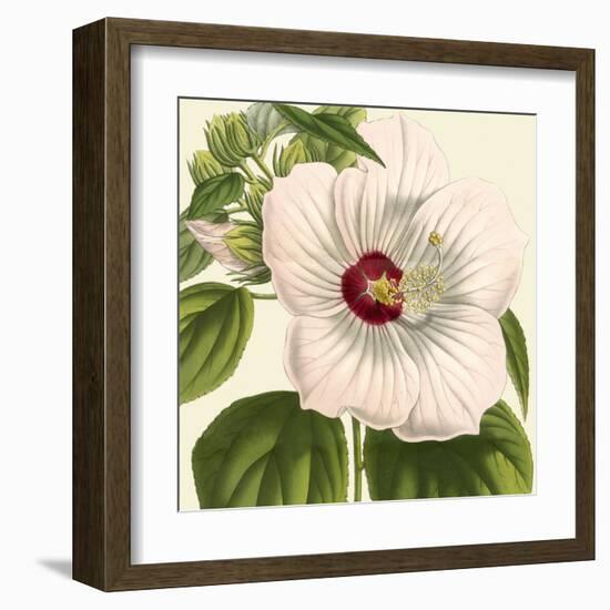 Tropical Vision I-Vision Studio-Framed Art Print