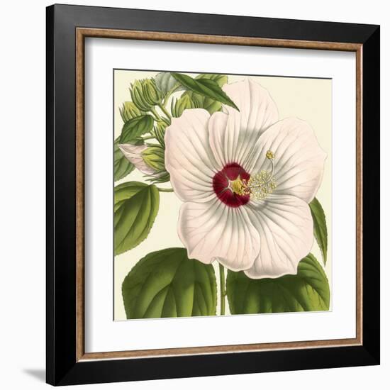 Tropical Vision I-Vision Studio-Framed Art Print