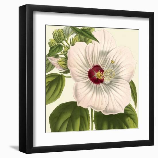 Tropical Vision I-Vision Studio-Framed Art Print