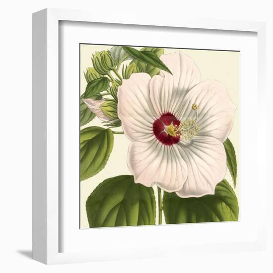 Tropical Vision I-Vision Studio-Framed Art Print