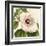 Tropical Vision I-Vision Studio-Framed Art Print