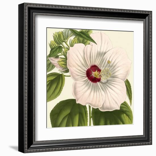 Tropical Vision I-Vision Studio-Framed Art Print