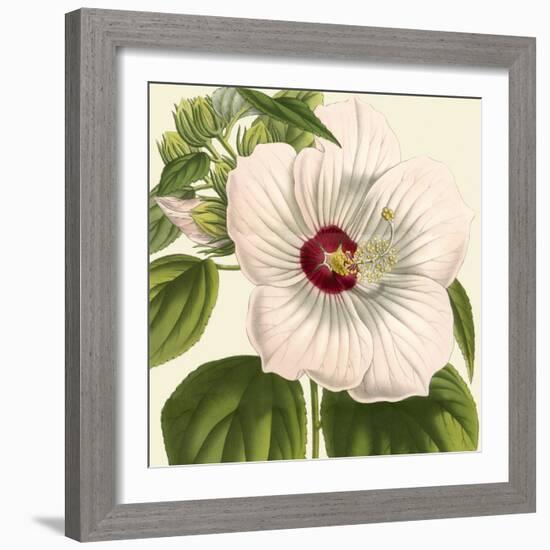 Tropical Vision I-Vision Studio-Framed Art Print