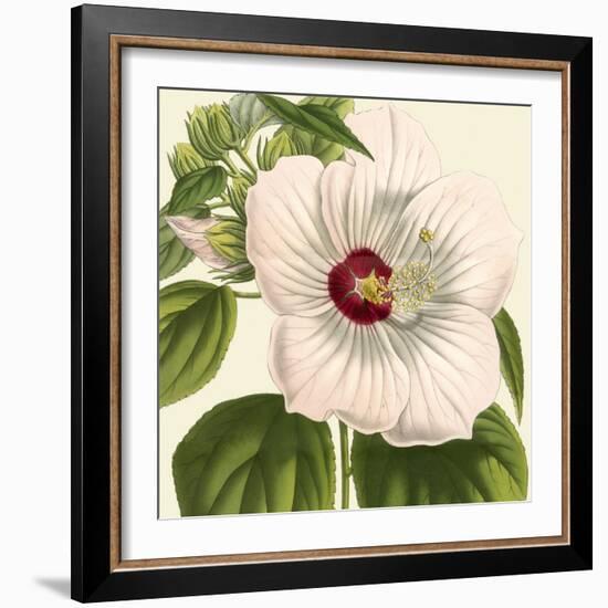 Tropical Vision I-Vision Studio-Framed Art Print