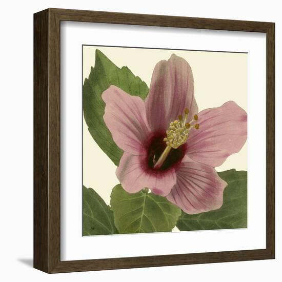 Tropical Vision II-Vision Studio-Framed Art Print