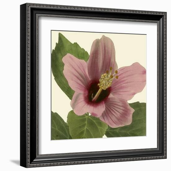 Tropical Vision II-Vision Studio-Framed Art Print