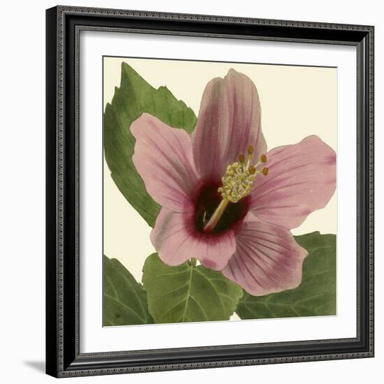 Tropical Vision II-Vision Studio-Framed Art Print