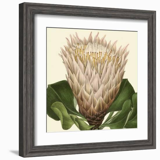 Tropical Vision VI-Vision Studio-Framed Art Print