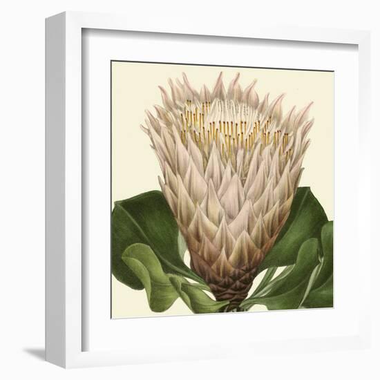 Tropical Vision VI-Vision Studio-Framed Art Print