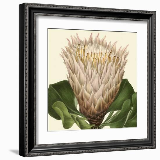 Tropical Vision VI-Vision Studio-Framed Art Print