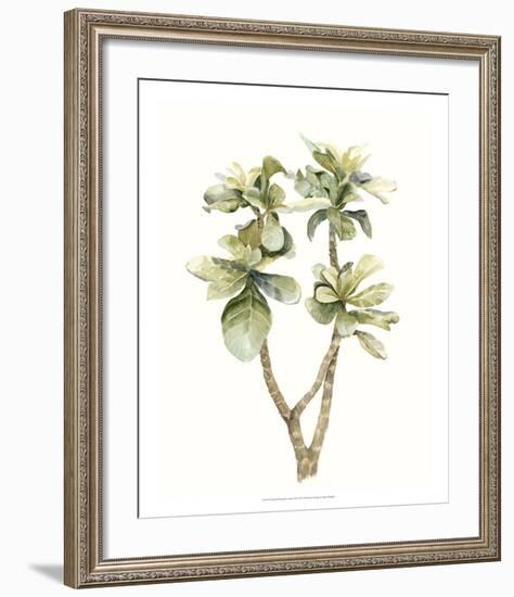 Tropical Watercolor Leaves III-Megan Meagher-Framed Giclee Print