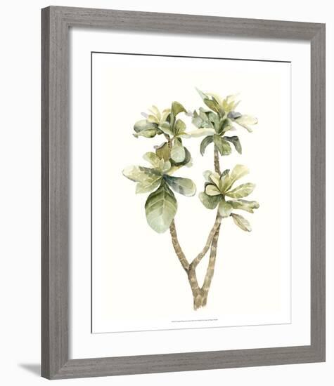 Tropical Watercolor Leaves III-Megan Meagher-Framed Giclee Print