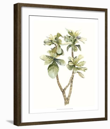 Tropical Watercolor Leaves III-Megan Meagher-Framed Giclee Print