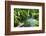 Tropical Zen Garden-szefei-Framed Photographic Print