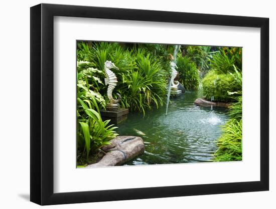 Tropical Zen Garden-szefei-Framed Photographic Print