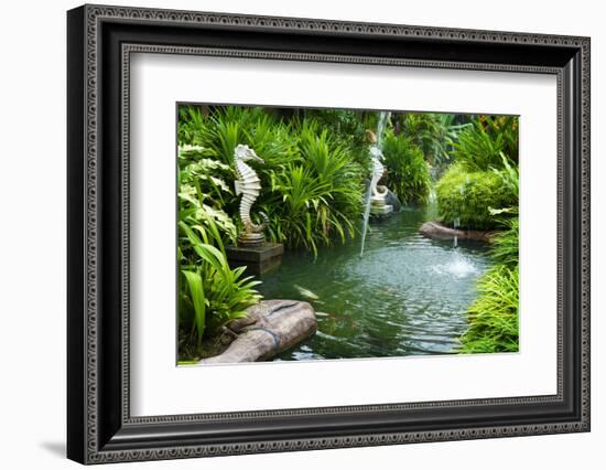 Tropical Zen Garden-szefei-Framed Photographic Print