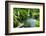 Tropical Zen Garden-szefei-Framed Photographic Print