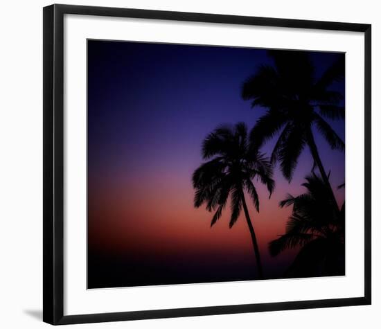 Tropical-Peter Morneau-Framed Art Print