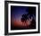 Tropical-Peter Morneau-Framed Art Print