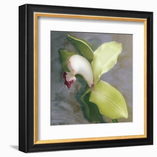 Tropicale-Erin Clark-Framed Art Print