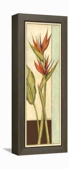 Tropicana Botanical II-Jennifer Goldberger-Framed Stretched Canvas