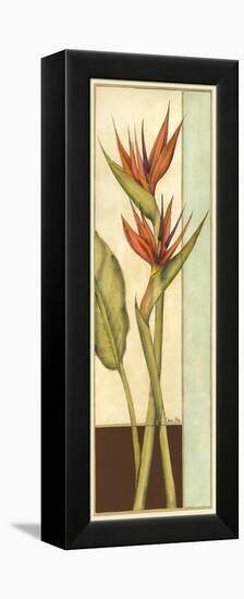 Tropicana Botanical II-Jennifer Goldberger-Framed Stretched Canvas