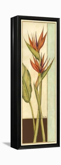 Tropicana Botanical II-Jennifer Goldberger-Framed Stretched Canvas