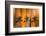 Tropicana-Andrew Michaels-Framed Photographic Print