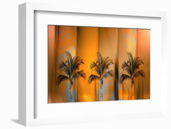 Tropicana-Andrew Michaels-Framed Photographic Print