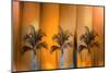 Tropicana-Andrew Michaels-Mounted Photographic Print