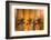 Tropicana-Andrew Michaels-Framed Photographic Print