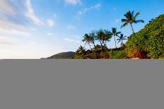 Sea Turtle close up over Coral Reef in Hawaii-tropicdreams-Photographic Print