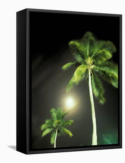 Tropics Palm Trees and Moon-Robin Hill-Framed Premier Image Canvas