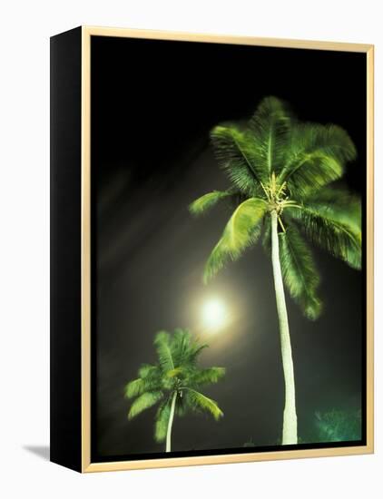 Tropics Palm Trees and Moon-Robin Hill-Framed Premier Image Canvas