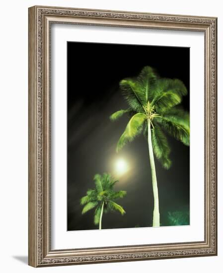 Tropics Palm Trees and Moon-Robin Hill-Framed Photographic Print