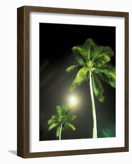 Tropics Palm Trees and Moon-Robin Hill-Framed Photographic Print